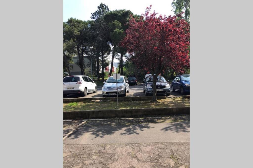 Bel Appartement Avec Vue Et Parking Prive Béziers Zewnętrze zdjęcie