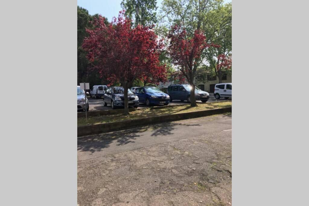 Bel Appartement Avec Vue Et Parking Prive Béziers Zewnętrze zdjęcie